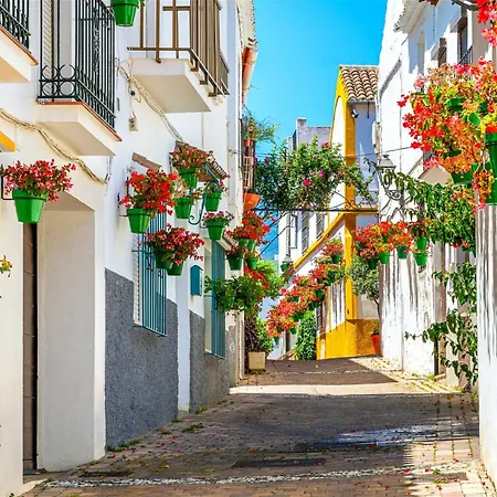 Beautiful Penthouse With Three Large Double Bedrooms In Casares Costa